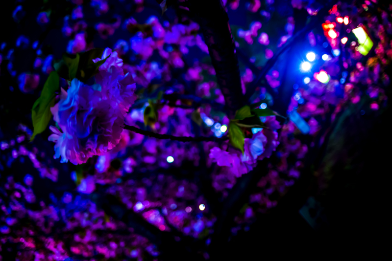 f:id:c-mitsuba:20150412195828j:plain