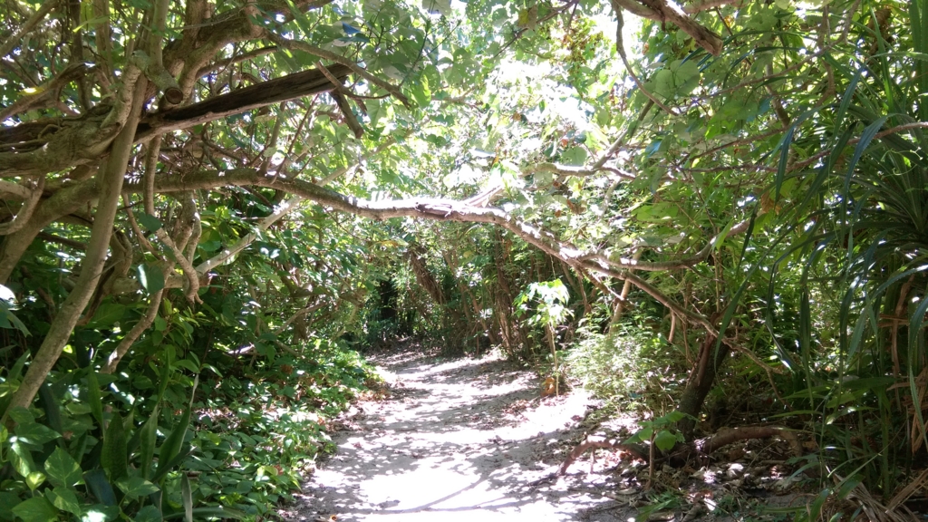 f:id:c71:20160621124909j:plain f:id:c71:20160621124909j:plain