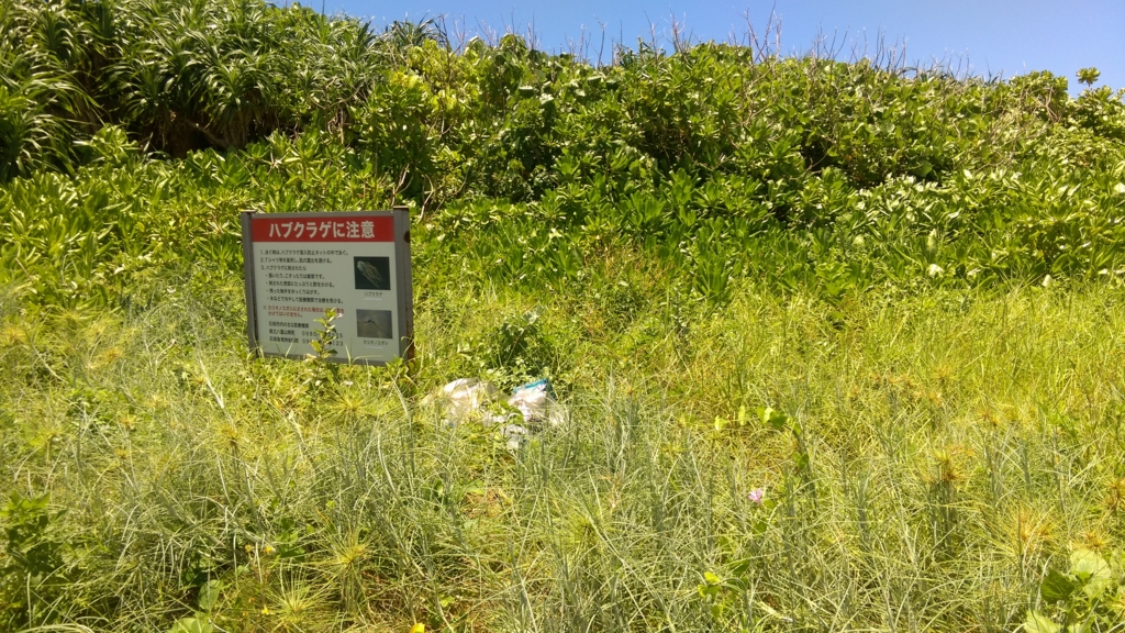 f:id:c71:20160621125110j:plain f:id:c71:20160621125110j:plain