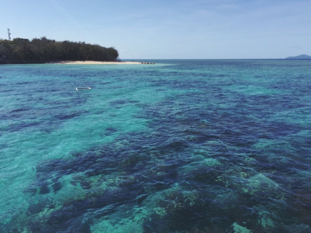 f:id:c_kugenuma:20151003032115j:image f:id:c_kugenuma:20151003032115j:image