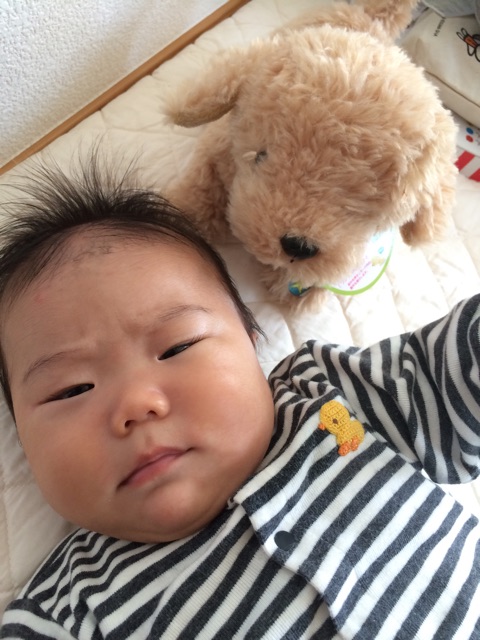 f:id:ca-san_diary:20141024160649j:plain f:id:ca-san_diary:20141024160649j:plain