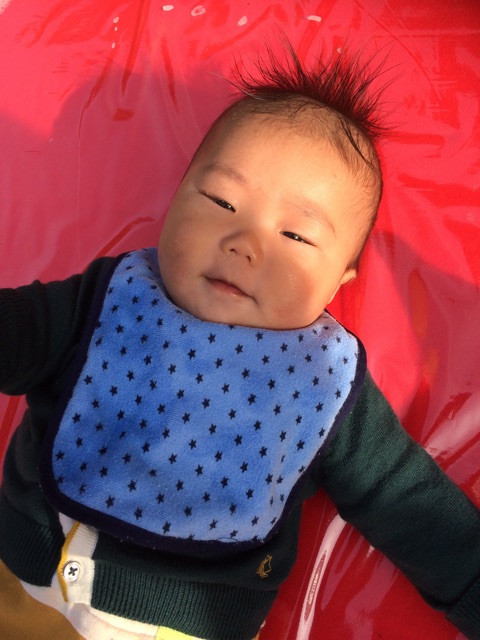 f:id:ca-san_diary:20141122090508j:plain f:id:ca-san_diary:20141122090508j:plain