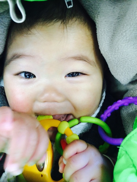 f:id:ca-san_diary:20141226130549j:plain f:id:ca-san_diary:20141226130549j:plain