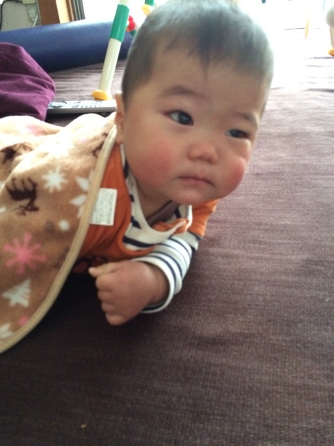 f:id:ca-san_diary:20150124235702j:plain f:id:ca-san_diary:20150124235702j:plain
