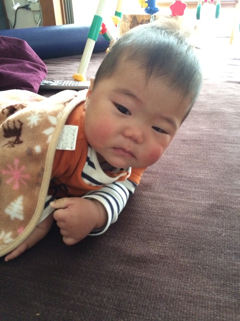 f:id:ca-san_diary:20150124235732j:plain f:id:ca-san_diary:20150124235732j:plain