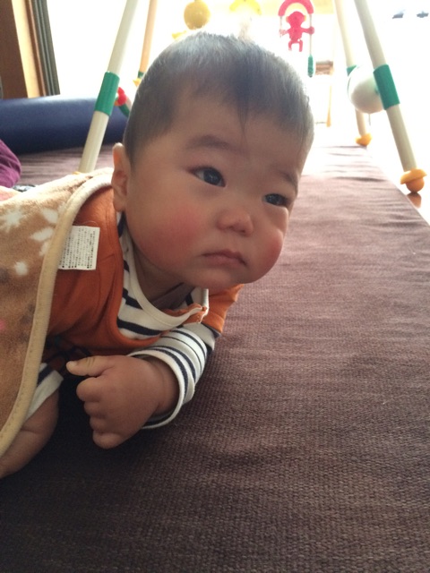 f:id:ca-san_diary:20150124235751j:plain f:id:ca-san_diary:20150124235751j:plain