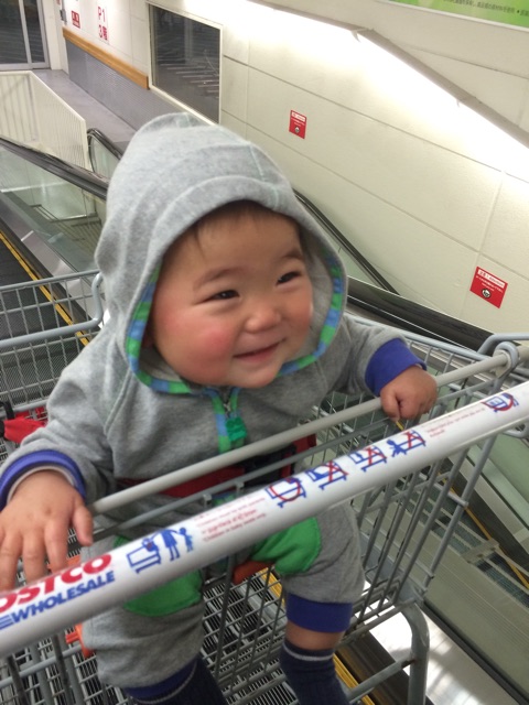 f:id:ca-san_diary:20150210215952j:plain f:id:ca-san_diary:20150210215952j:plain