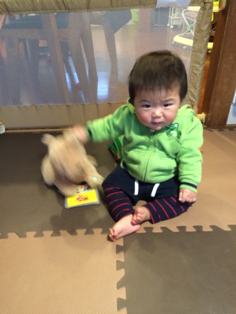 f:id:ca-san_diary:20150401171135j:plain f:id:ca-san_diary:20150401171135j:plain