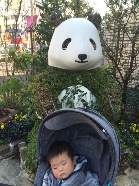 f:id:ca-san_diary:20150404231803j:plain f:id:ca-san_diary:20150404231803j:plain