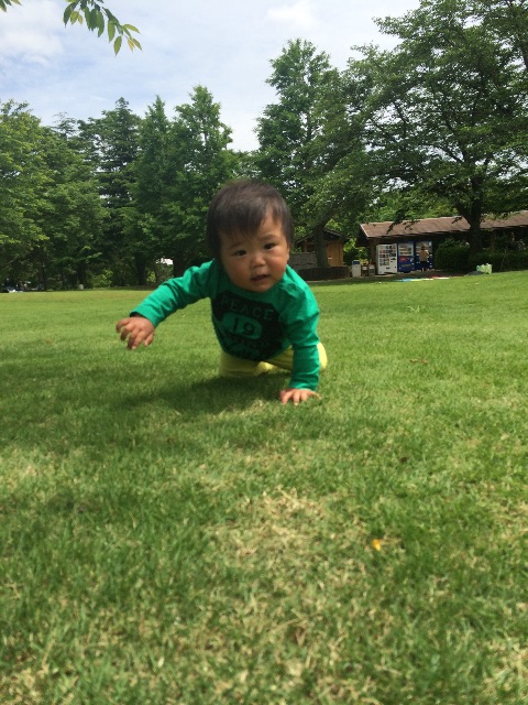 f:id:ca-san_diary:20150525215719j:image f:id:ca-san_diary:20150525215719j:image