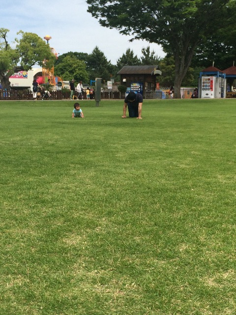f:id:ca-san_diary:20150525220127j:image f:id:ca-san_diary:20150525220127j:image