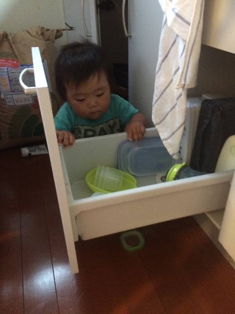 f:id:ca-san_diary:20150529130804j:image