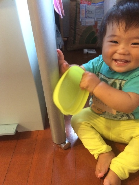 f:id:ca-san_diary:20150529131322j:image