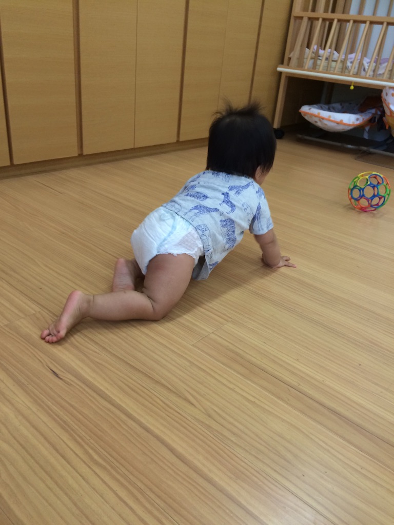 f:id:ca-san_diary:20150720085825j:image f:id:ca-san_diary:20150720085825j:image
