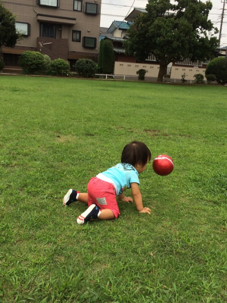 f:id:ca-san_diary:20150906174448j:image f:id:ca-san_diary:20150906174448j:image