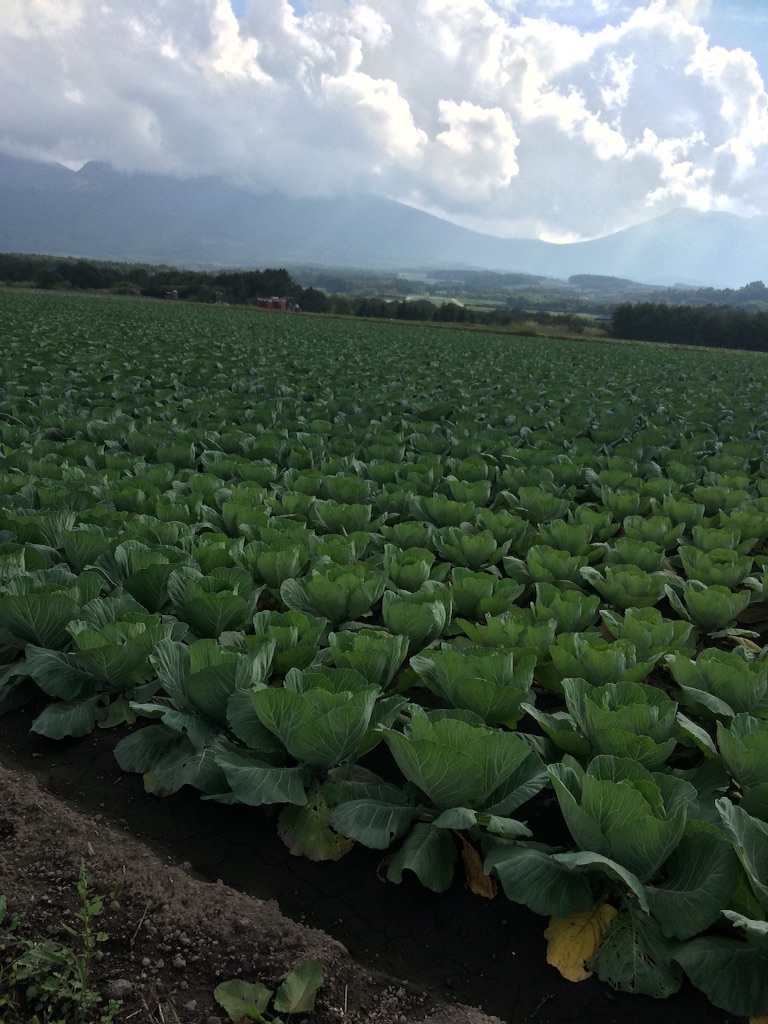 f:id:ca-san_diary:20150928090413j:image f:id:ca-san_diary:20150928090413j:image