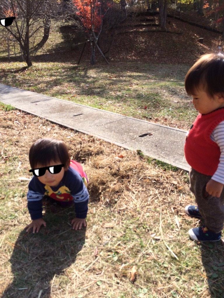 f:id:ca-san_diary:20151105101538j:image f:id:ca-san_diary:20151105101538j:image