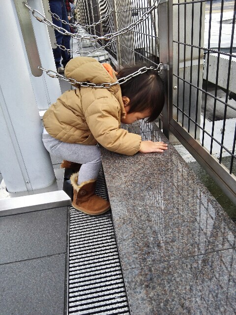 f:id:ca-san_diary:20160229090701j:image f:id:ca-san_diary:20160229090701j:image