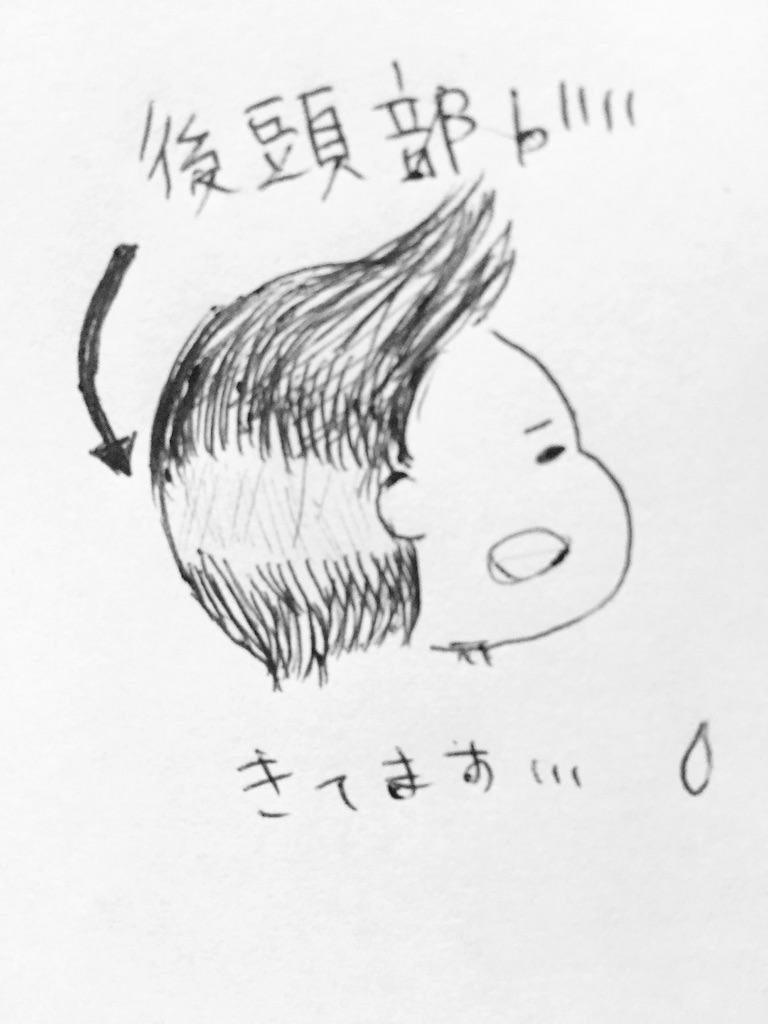 f:id:cabucafe:20160226221524j:image f:id:cabucafe:20160226221524j:image