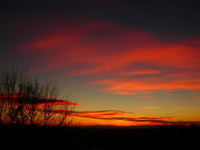 f:id:cacciatori:20070130013842j:image