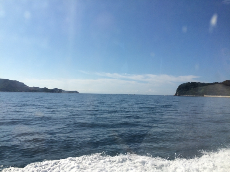 f:id:camelstation:20150904231104j:plain f:id:camelstation:20150904231104j:plain