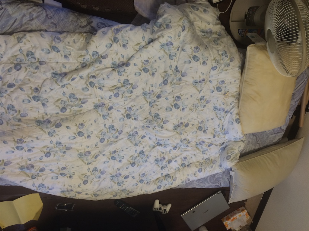 f:id:camelstation:20160610132845j:image