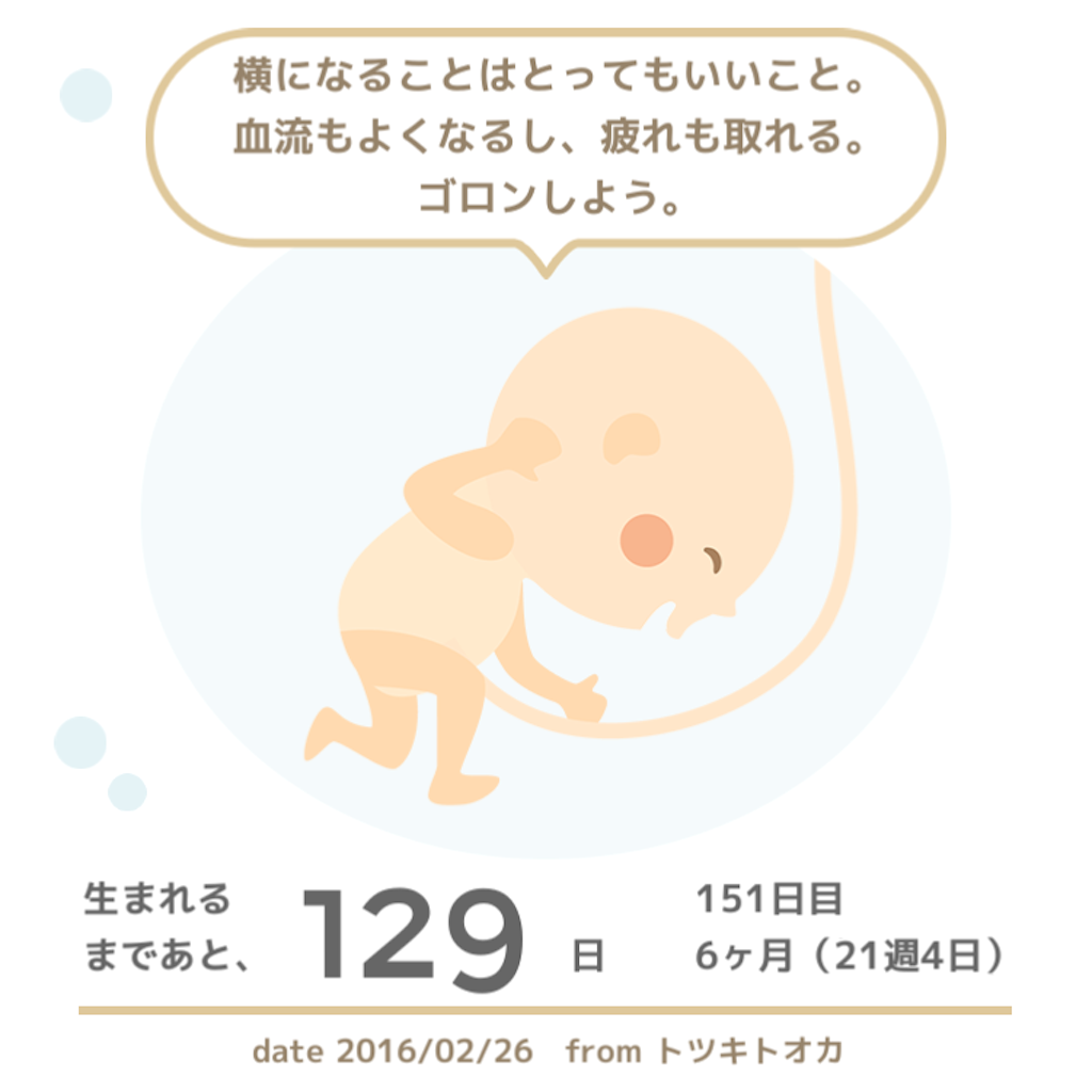 f:id:canakate:20160226111243p:image f:id:canakate:20160226111243p:image