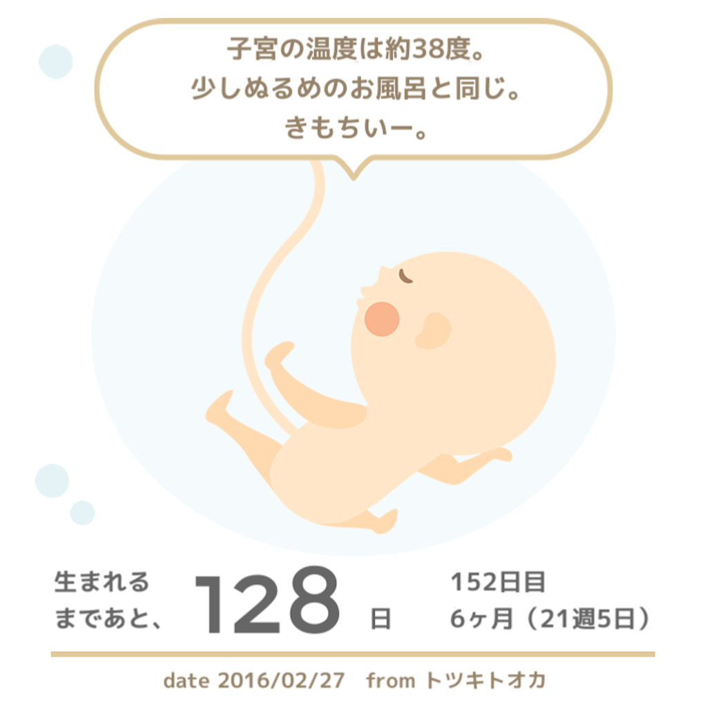 f:id:canakate:20160227145726p:image f:id:canakate:20160227145726p:image