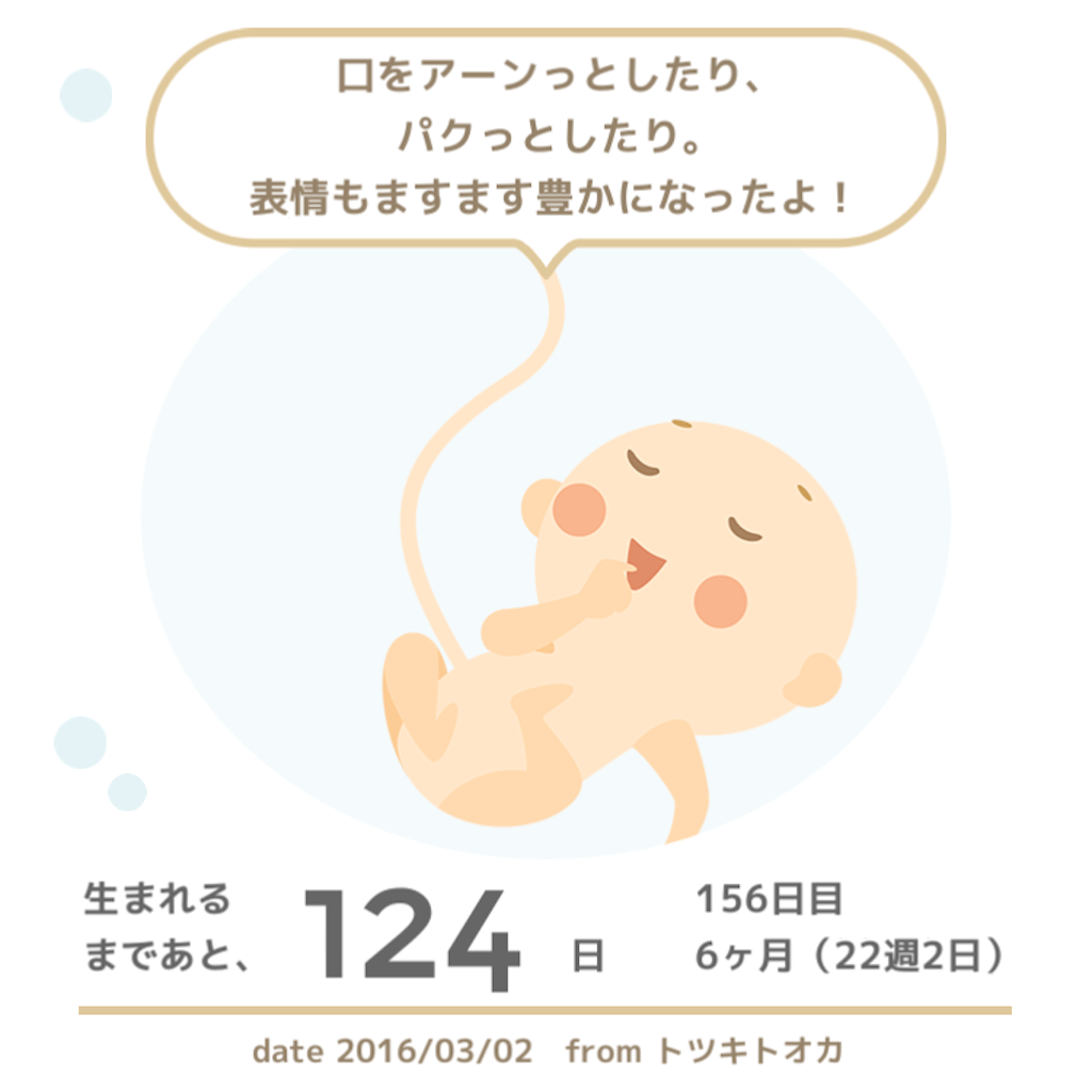 f:id:canakate:20160302142515p:image f:id:canakate:20160302142515p:image