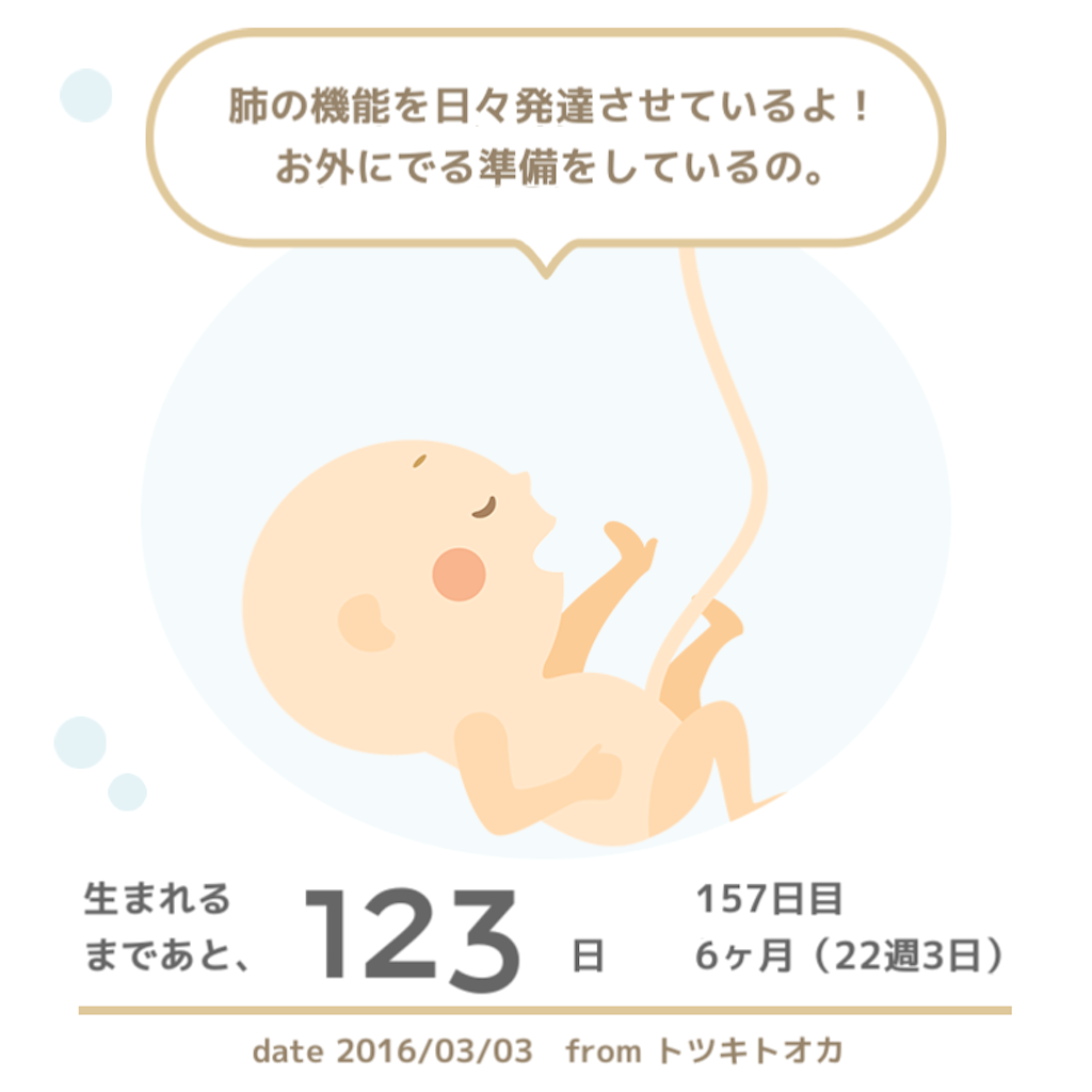 f:id:canakate:20160303175630p:image f:id:canakate:20160303175630p:image
