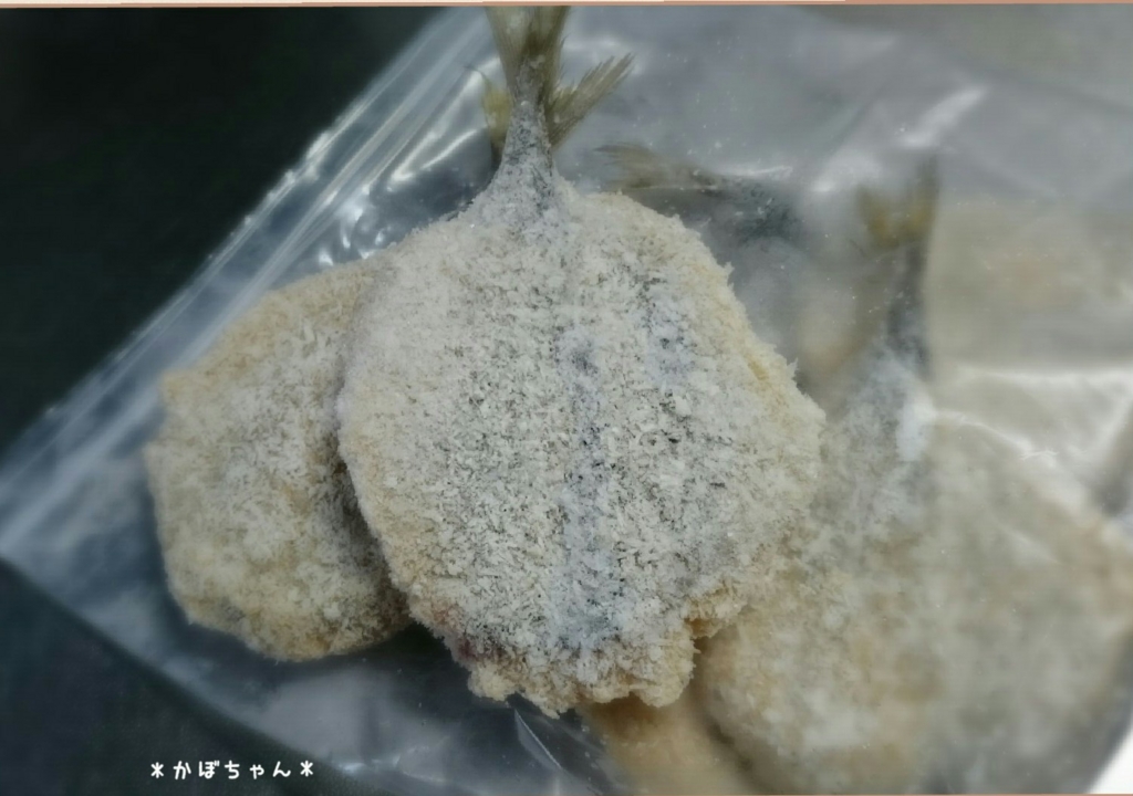 f:id:caorucaoru:20151202102137j:plain f:id:caorucaoru:20151202102137j:plain