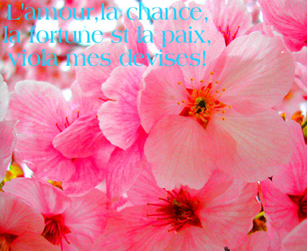 f:id:caramelaucafe:20130324220011j:image f:id:caramelaucafe:20130324220011j:image