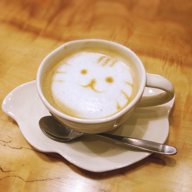 f:id:care495:20160215005937j:plain f:id:care495:20160215005937j:plain