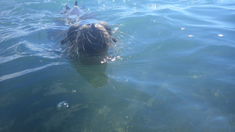 f:id:career-mountains:20130815150229j:plain f:id:career-mountains:20130815150229j:plain