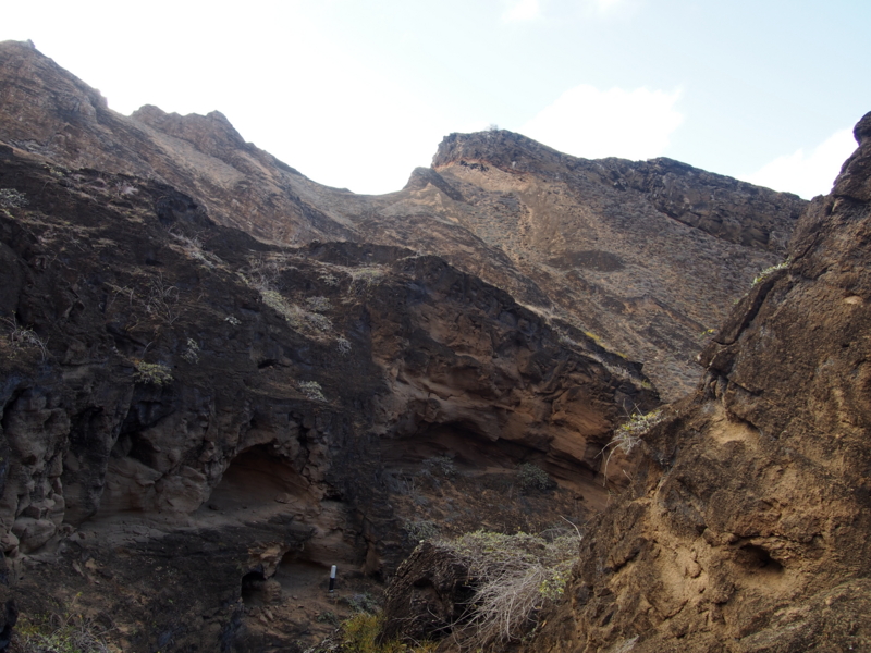 f:id:career-mountains:20130817164920j:plain f:id:career-mountains:20130817164920j:plain