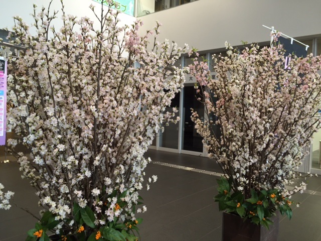 f:id:career-re-birth:20160204074947j:plain f:id:career-re-birth:20160204074947j:plain