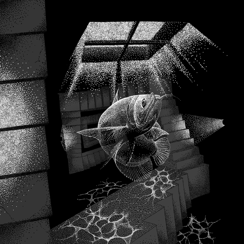 f:id:cat_b:20151226125903p:plain f:id:cat_b:20151226125903p:plain