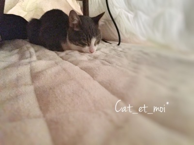 f:id:cat_et_moi:20151214113526j:plain f:id:cat_et_moi:20151214113526j:plain