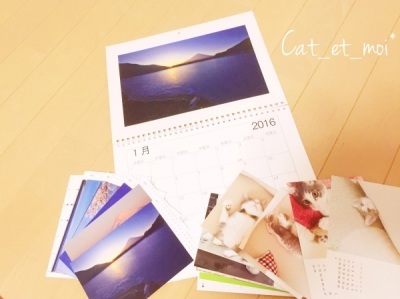 f:id:cat_et_moi:20151214120842j:plain f:id:cat_et_moi:20151214120842j:plain