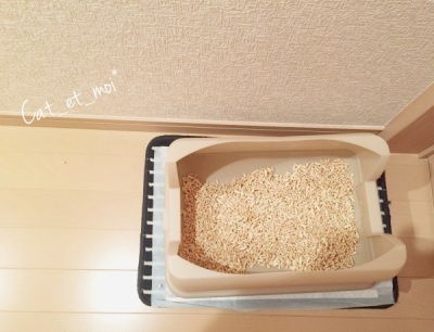 f:id:cat_et_moi:20151214124629j:plain f:id:cat_et_moi:20151214124629j:plain