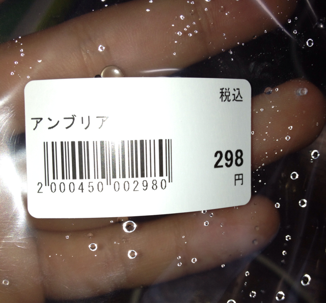 f:id:cat_neko3:20131014093314j:plain f:id:cat_neko3:20131014093314j:plain