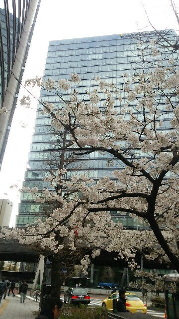 f:id:cataway25:20160402095209j:image f:id:cataway25:20160402095209j:image