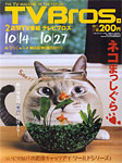 f:id:catkicker001:20061012231831j:image f:id:catkicker001:20061012231831j:image