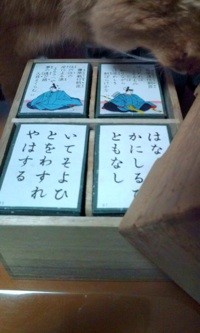 f:id:catkicker001:20100125235234j:image f:id:catkicker001:20100125235234j:image