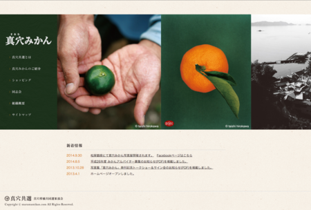 f:id:catkicker001:20141103183500p:plain