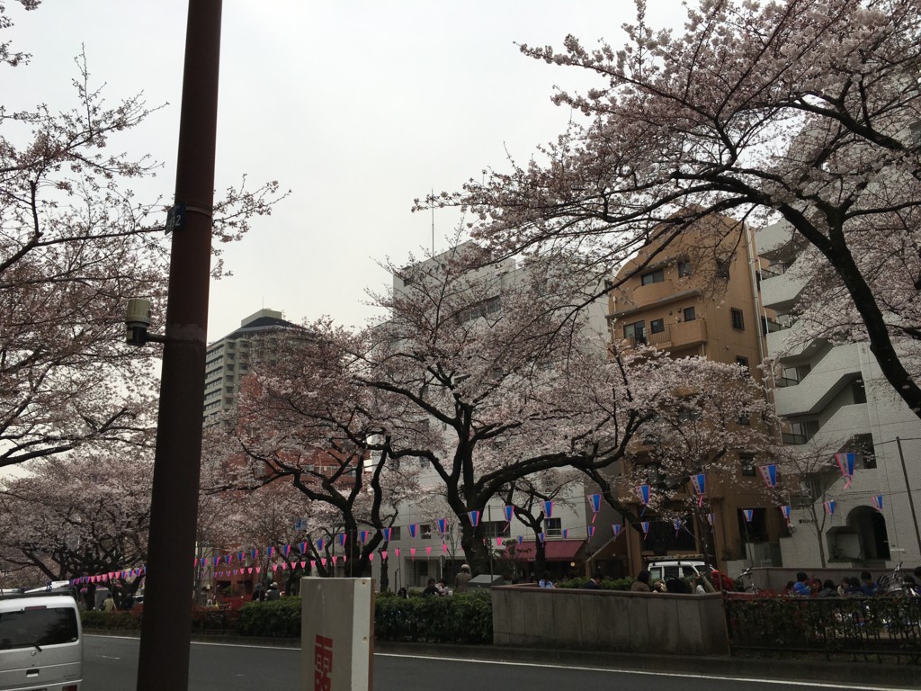 f:id:catkicker001:20160330115011j:plain f:id:catkicker001:20160330115011j:plain