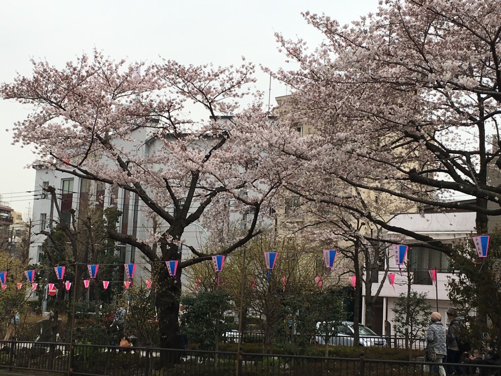 f:id:catkicker001:20160330135652j:plain f:id:catkicker001:20160330135652j:plain