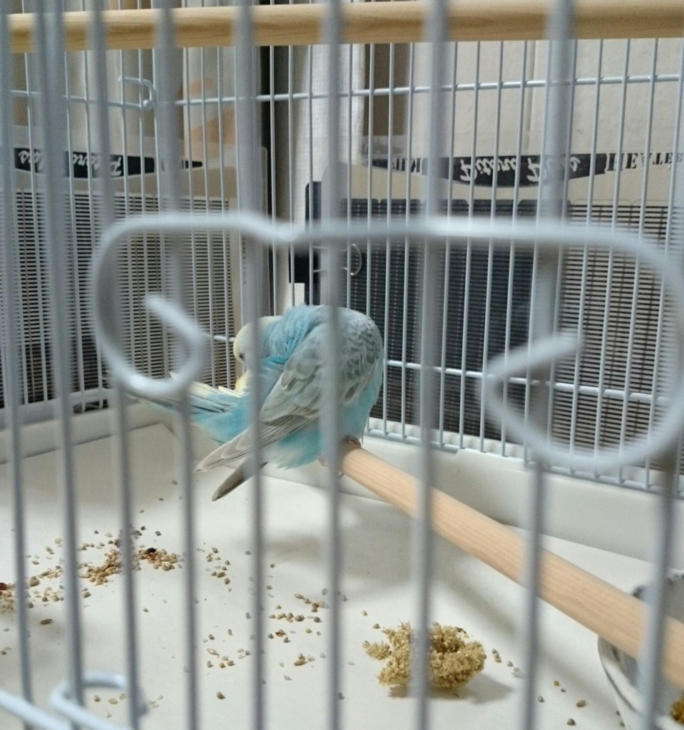 f:id:catkicker001:20160426232631j:plain