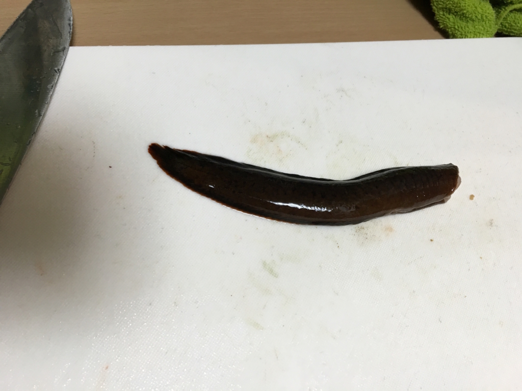 f:id:catrabbitnekousagi:20160417145447j:plain f:id:catrabbitnekousagi:20160417145447j:plain