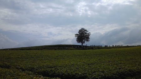 f:id:catsbrand:20080906132600j:image f:id:catsbrand:20080906132600j:image